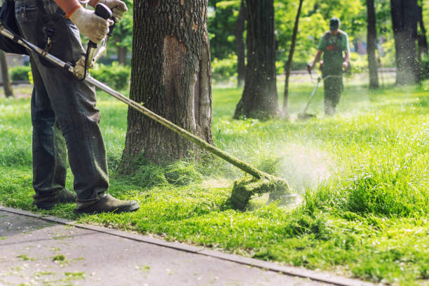 Arbeiten im Garten im Herbst
