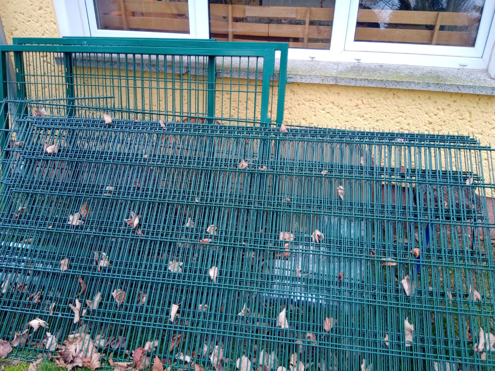 Zaunsysteme aus Stabmatten