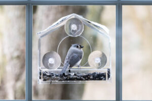 Vogelfutterhӓuser