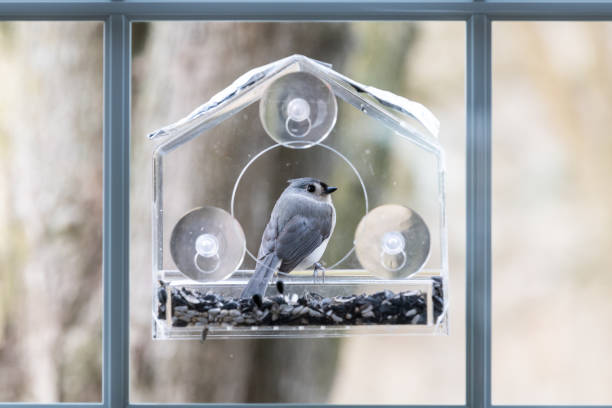 Vogelfutterhӓuser